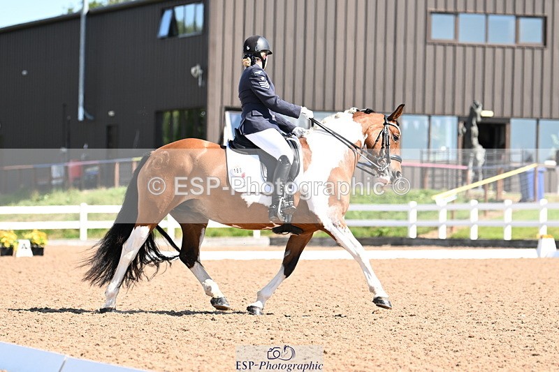 240816A-110739-03999 - 189-Mel.Day-Dolderwydd.lucky.Maisie