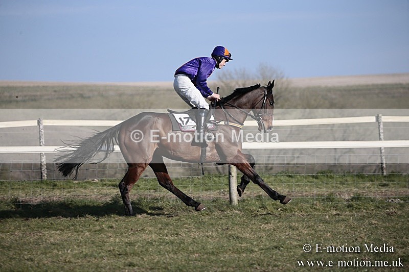 PtP 240218 346 - Vine & Craven Hunt Point-to-Point Barbury racecourse 24/02/18
