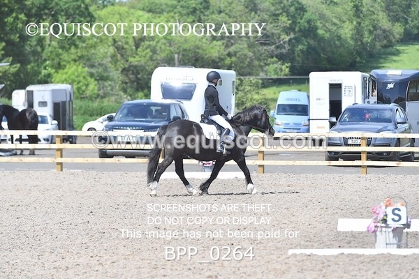 BPP_0264 - SHORT ARENA  MY QUEST PRELIM