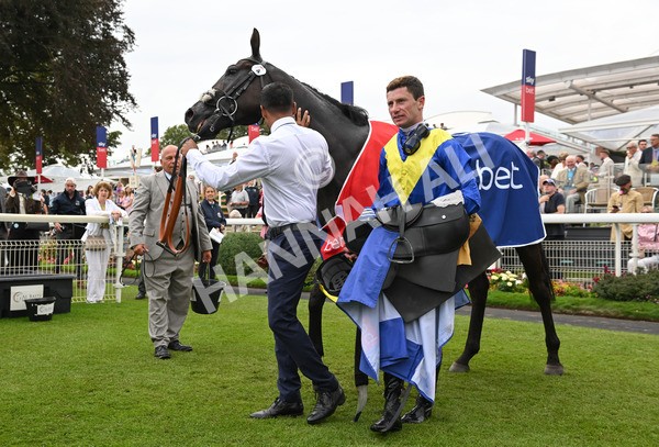 230825-097 Never So Brave - Race 3 3.00pm Sky Bet City Of York Stakes