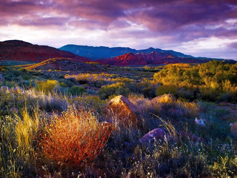 Red Cliffs Utah USA - Land