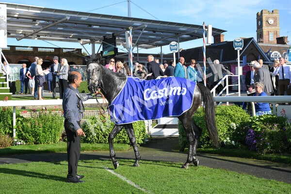 yr08102021r3-52 - Race 3 3.15pm Download The Casumo App Today Handicap