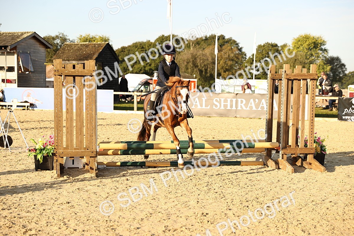 SBM_57266 - J11 - Junior Pony 50cm Championship