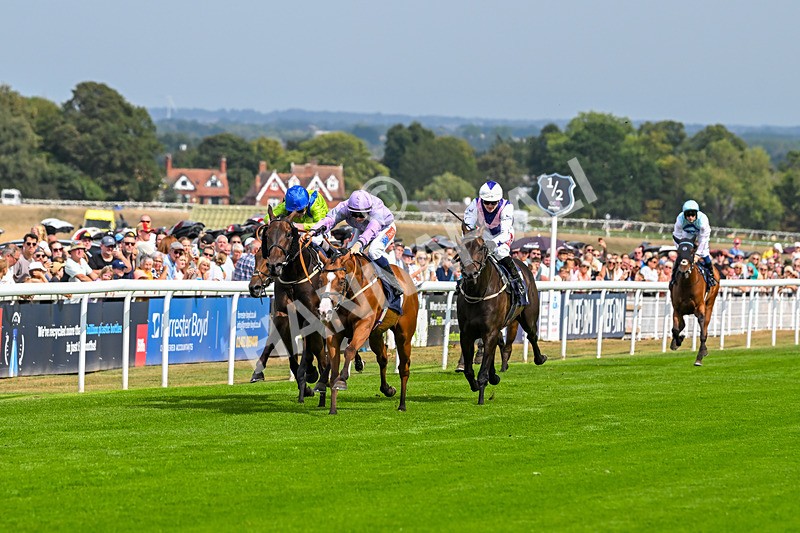 240825-Race 1-Light Speed-1429 - Race 1