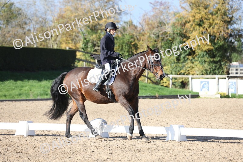 20251101-0564 - Class 4 - Novice 2