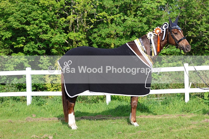 3E7A0287 - Verity Perry
