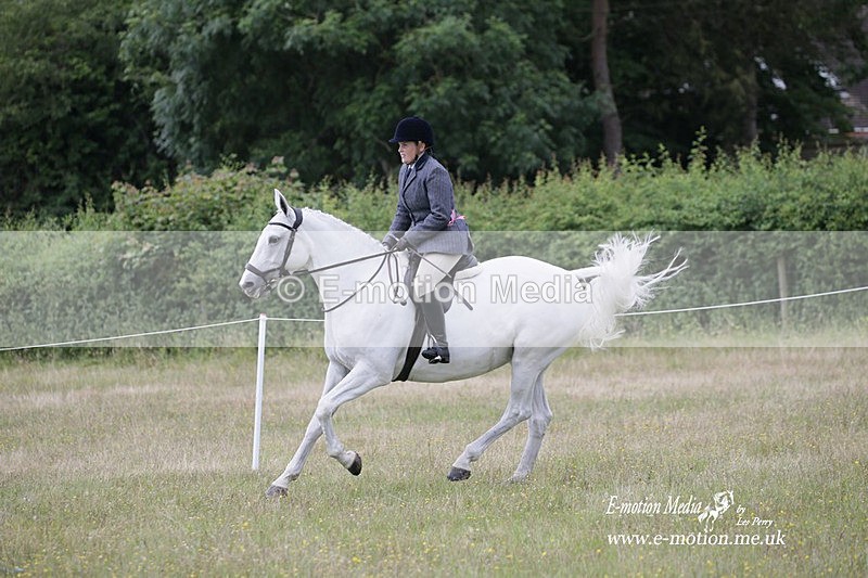 BVRC 030721 861 - Bourne Valley Riding Club Dressage 03/07/21