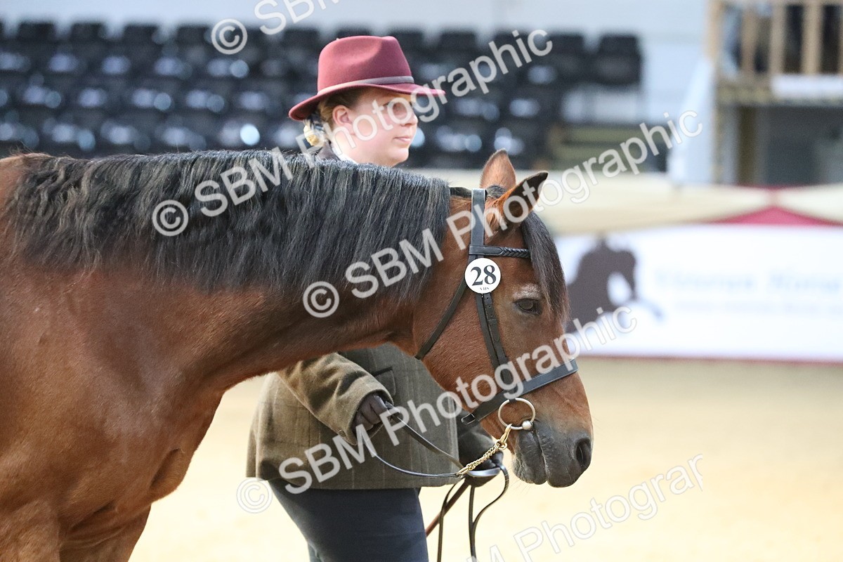 SBM_00193 - Class 1a - Area IH Diamond