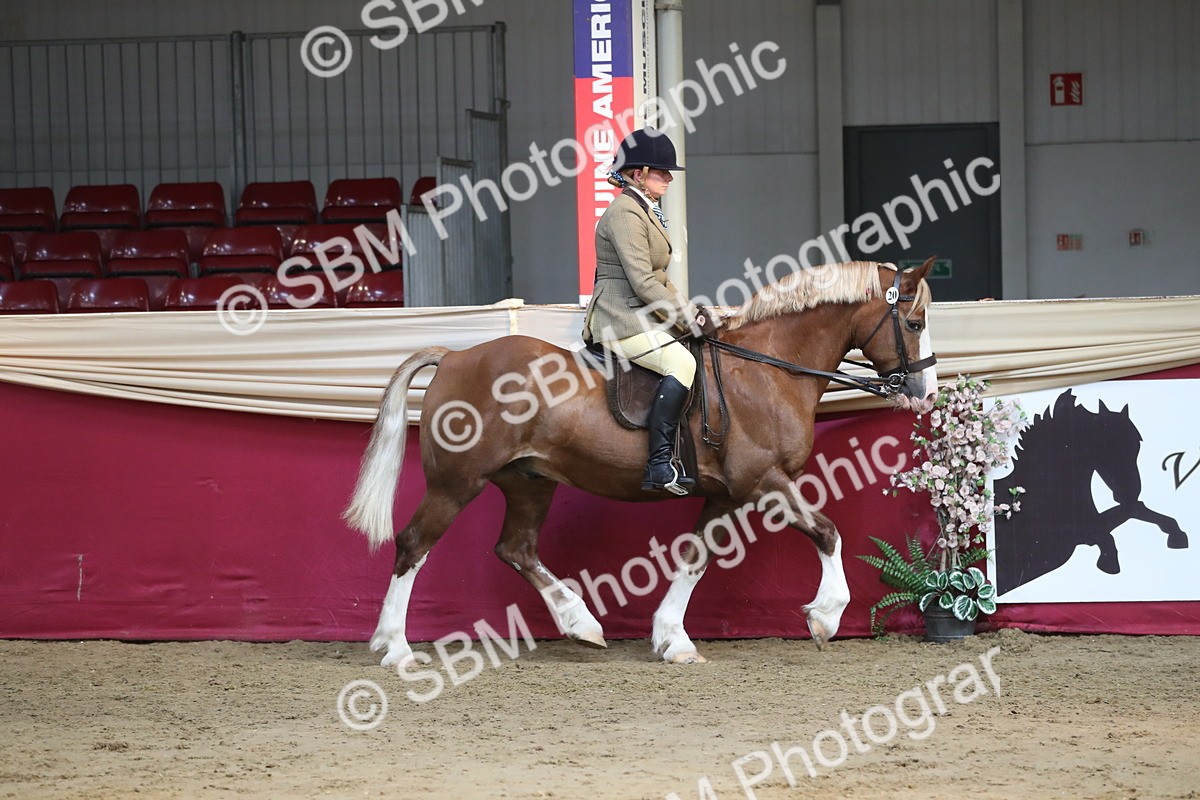 SBM_08289 - Class 11R Regional Ridden Veteran