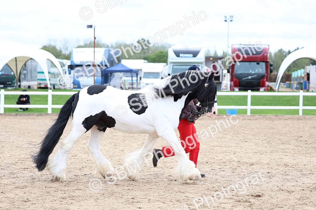 SBM_05944 - Class 29 - IH Veteran Pony