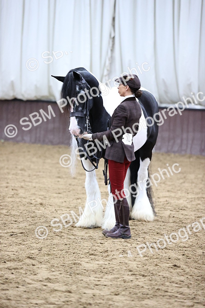 SBM_5676 - Class 40 - RESS In Hand Qualifier