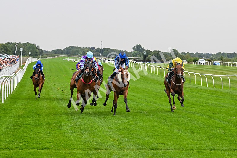 280824-Race 3-Too Much Too Young-4247 - Race 3