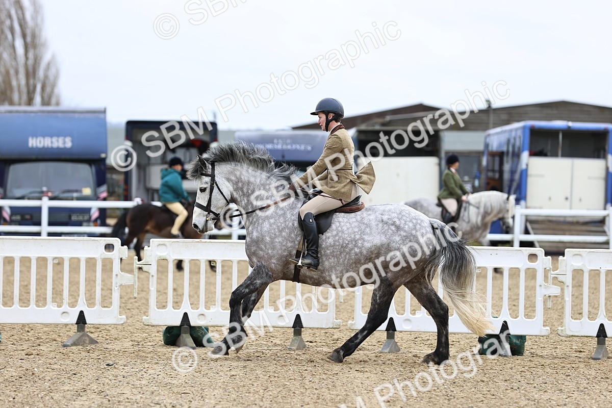 SBM_006981 - Class 29 - 30 - M&M Pure Novice Small-Large Breeds