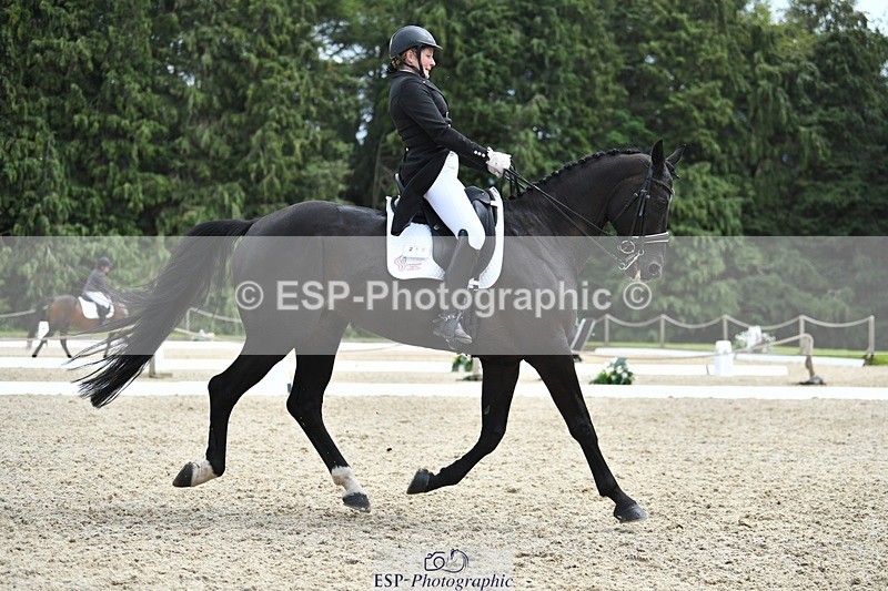 230812-135916-04567 - Cls 7 FEI PSG Bronze