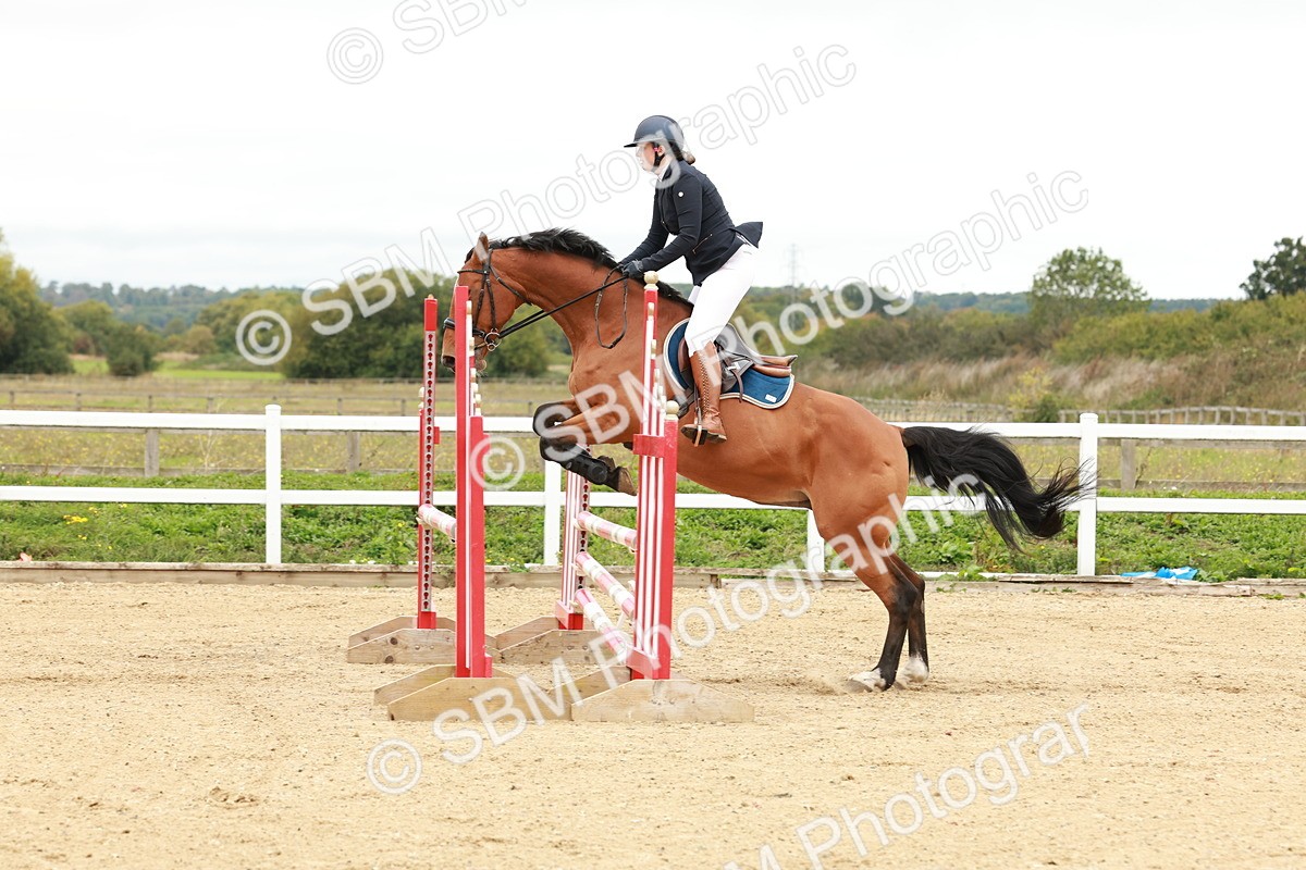 1I0A6851 - Class 2 - Senior British Novice