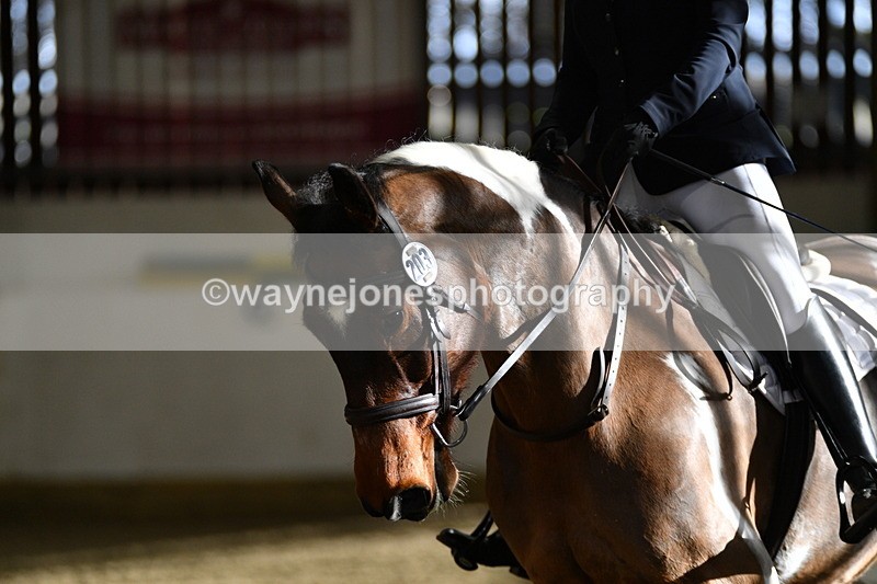 WJ5_2116 - Time 11:12 to 11:55