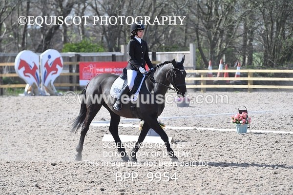 BPP_9954 - ELEM 4