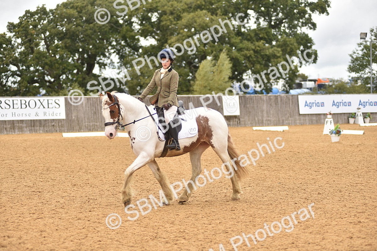 SBM_42345 - D22 - Junior Championship Intro 3