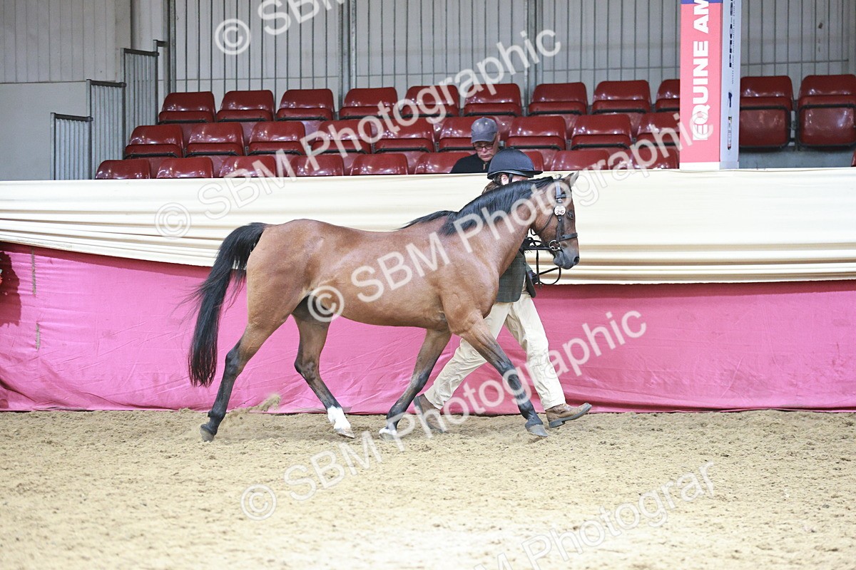 SBM_04696 - Class 7R - Regional IH Diamond