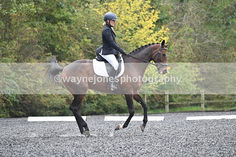 WJ7_3907 - Time 11:04 to 11:38