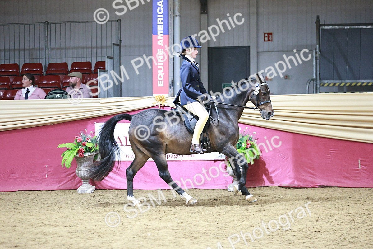 SBM_08030 - Class 11R - Regional Ridden Veteran