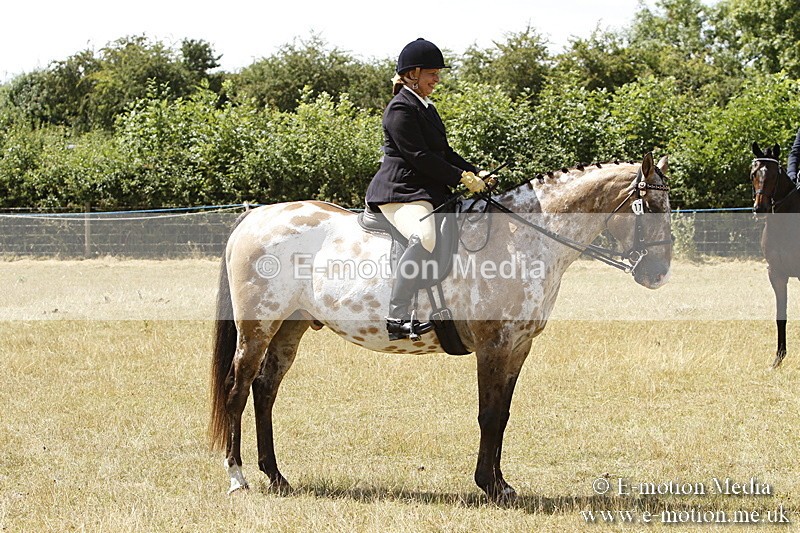 _BS_0771 - BVRC Show 2018 Ring 1