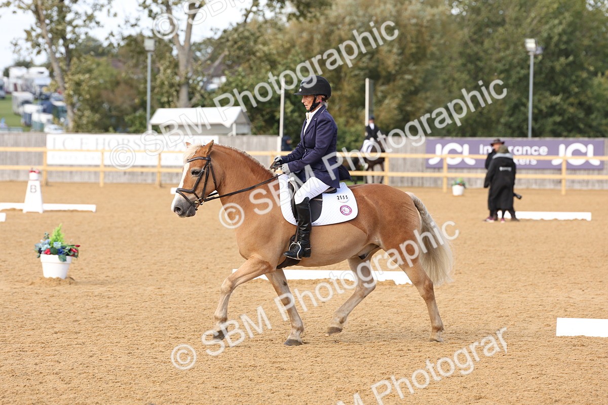 SBM_24613 - D17 - Grand Tour Championship Novice 3