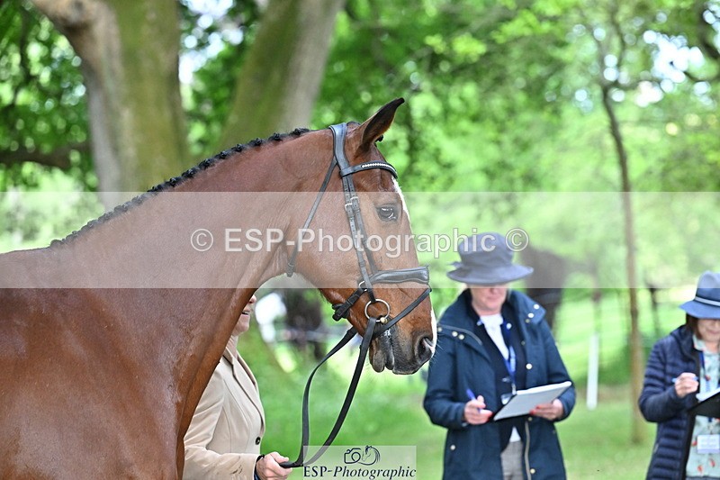 250521A-165545-01409 - C-272-Louisa.Lockwood-KILCANNON.OREO