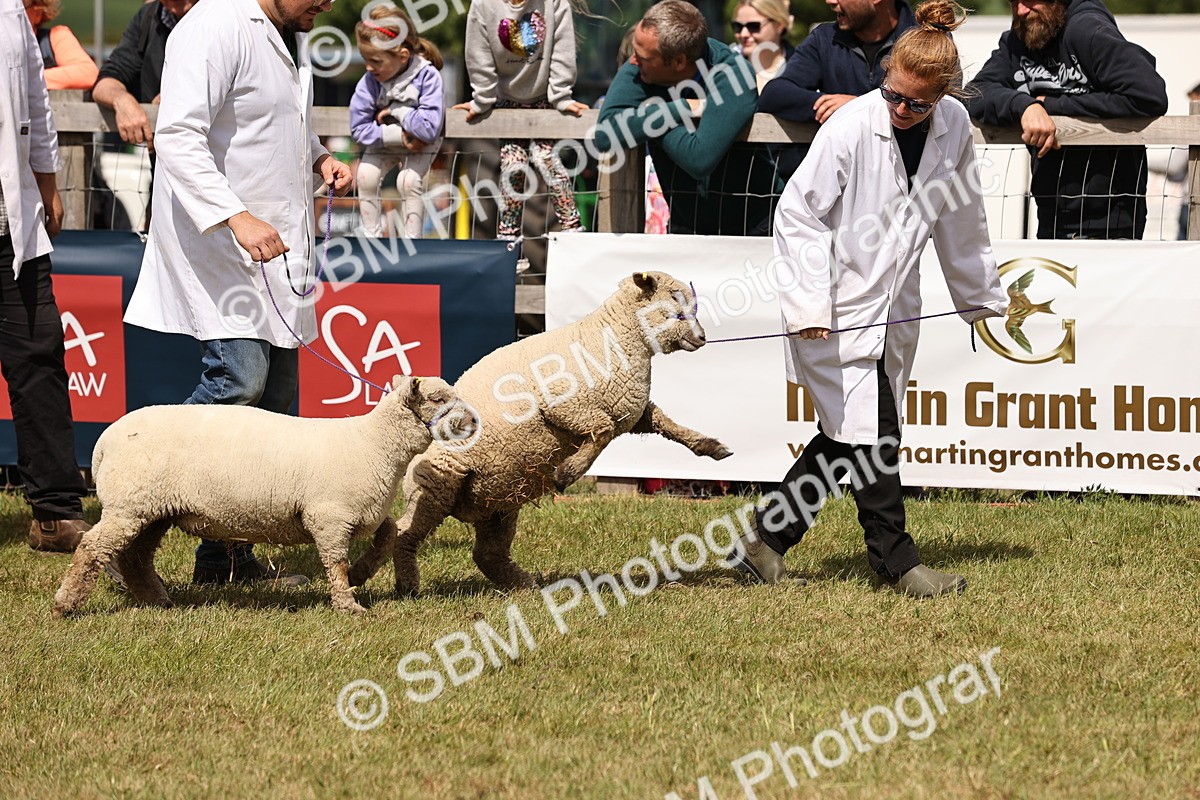 SBM_16843 - Grand Parade