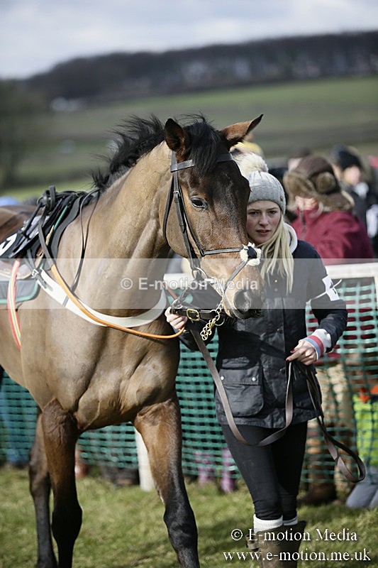 PtP 040218 17 - Point-to-Point Milborne St Andrew 04/02/18