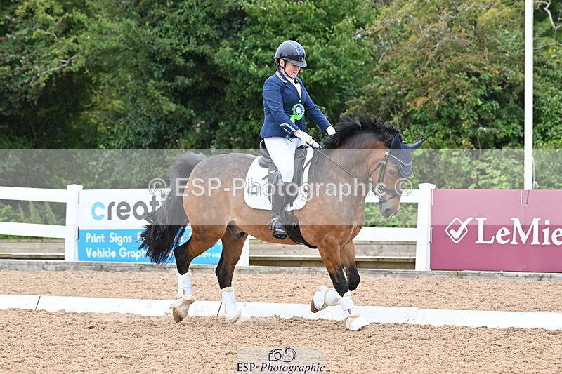 240815A-130512-01099 - Cls 7-P Freestyle Medium Bronze