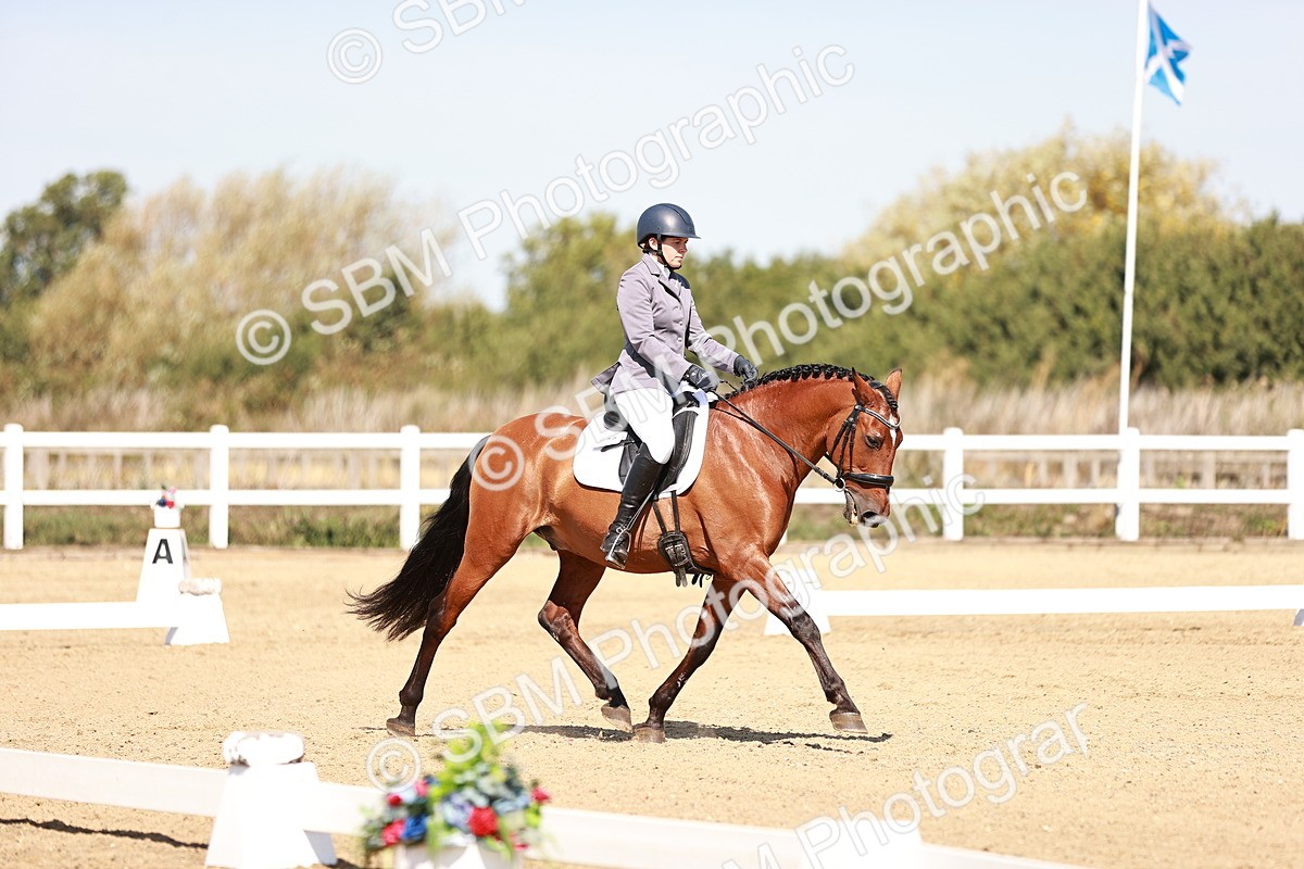 SBM_004506 - Class 12 - Novice 5 - 10.31-11.41