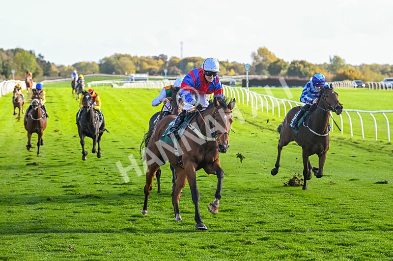 191024-Race 4-Three Dons-4314 - Race 4