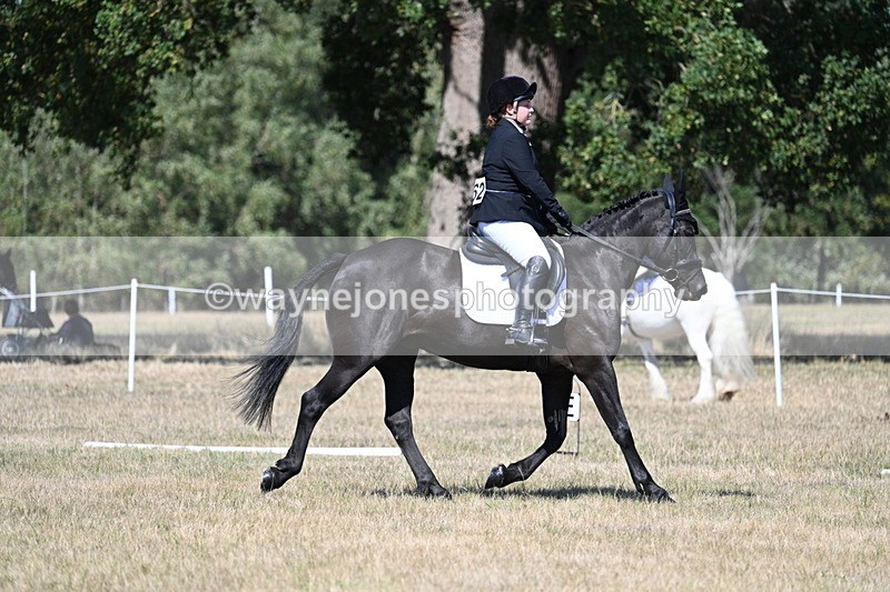 WJ7_0551 - Time 12:03 to 12:23