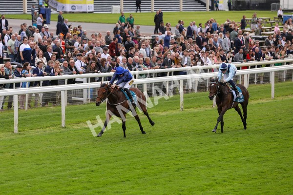 140624-Race 2-Inconspicuous-5555 - Race 2 2.25pm CGE Yorkshire Rous Selling Stakes