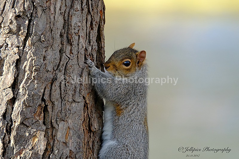  - Wildlife and Nature