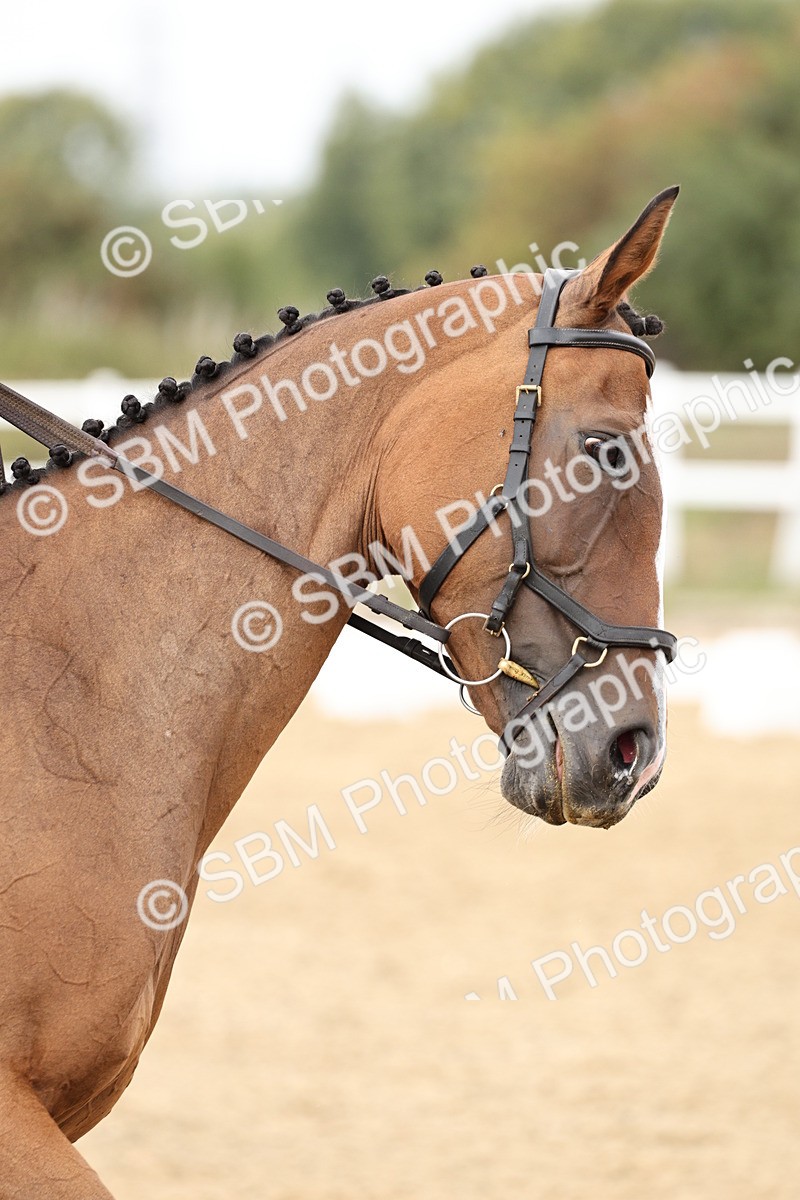 SBM_013240 - Class 3 - Novice 4 - 11.43-12.25