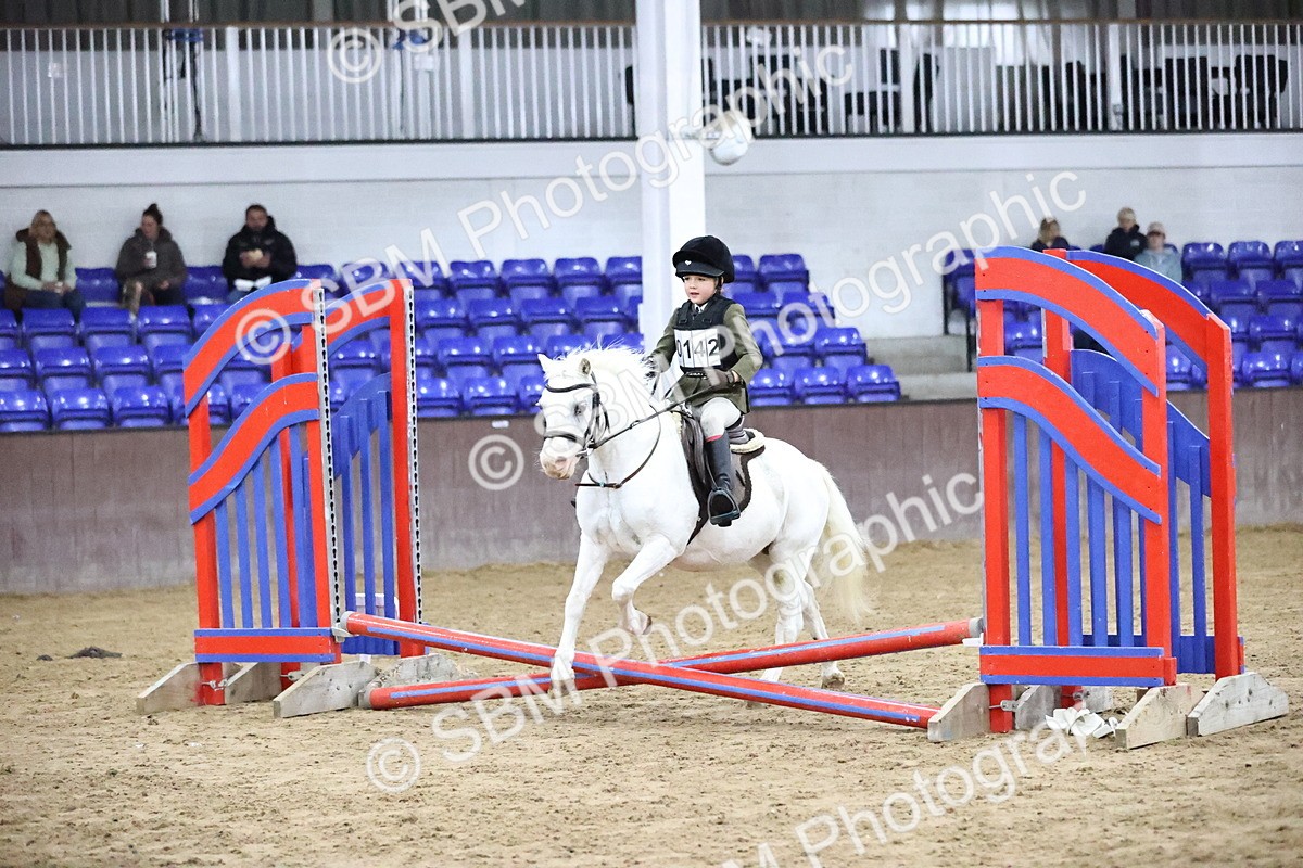 SBM_000016 - Class 1 - Fox Farriers 30cm