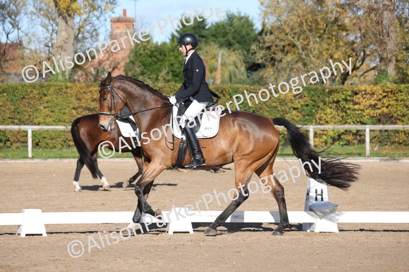 20251102-0660 - Class 4 - Novice 6