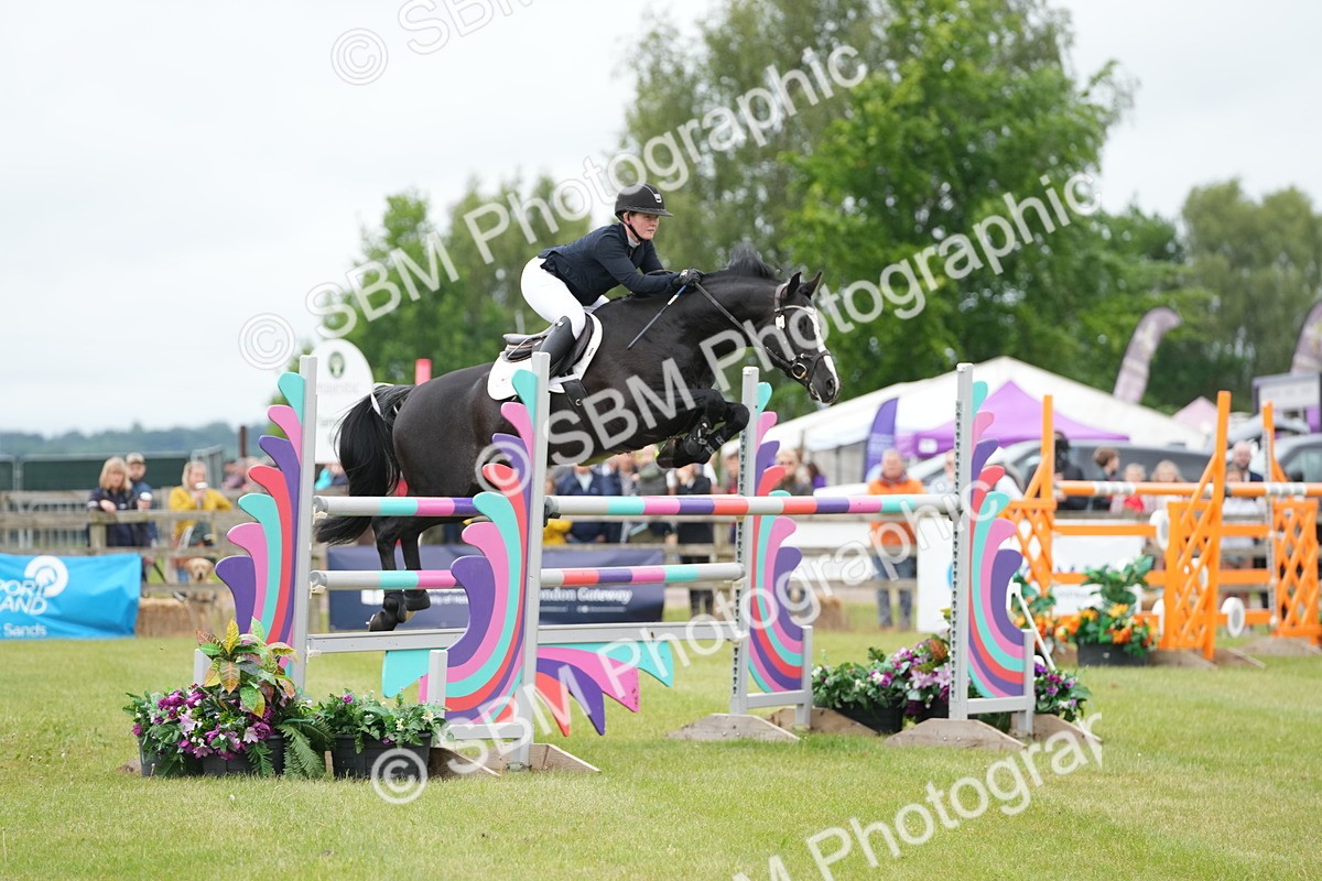 SBM_03313 - Class 201 - British Horse Feeds Speedi Beet Horse of the Year Show Grade  C
