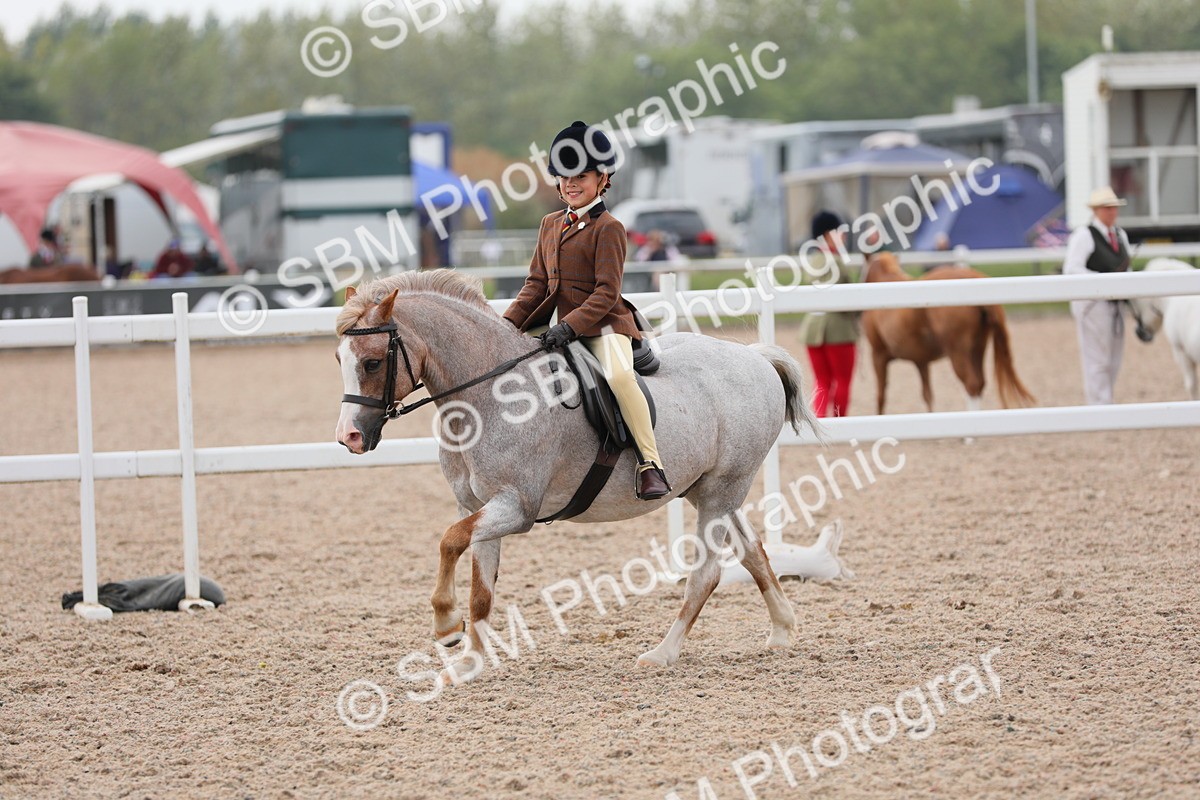 SBM_12715 - Class 307 Ridden Coloured Pony