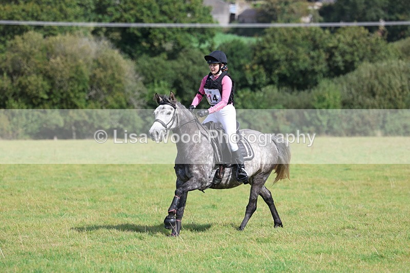 3E7A6614 - Class 1: Trebudannon Open: Pheasant Feeder