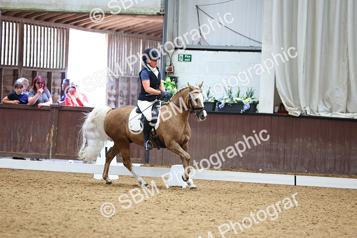 SBM_005578 - Elementary 2