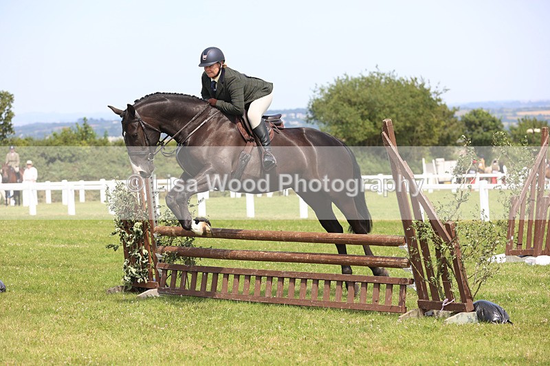 JPP_3588 - Class 23: Working Hunter 80cm