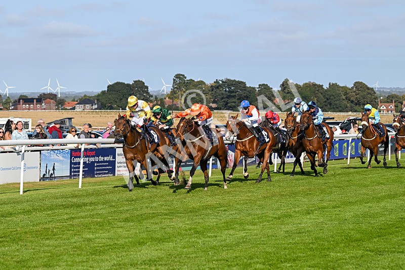 180924-Race 6-Elegant Erin-5026 - Race 6