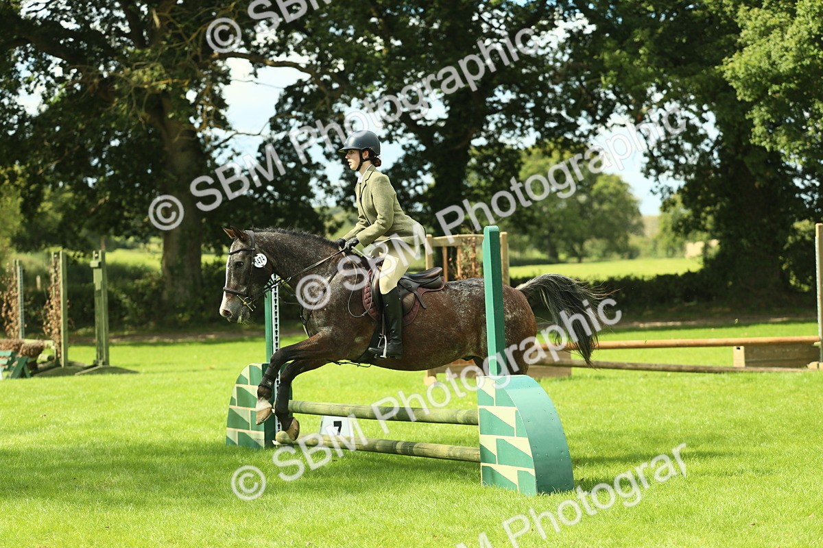SBM_42140 - S29 - Novice & Newcomers Working Hunter Pony
