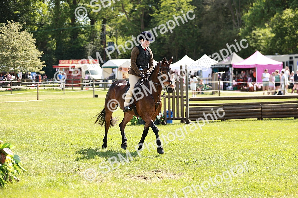 SBM_17607 - Class 112-113 - BSPS LIHS Working Sports Pony
