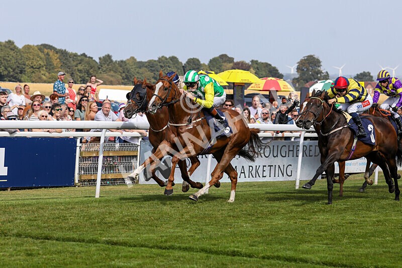 310824-Race 3-Frank The Spark-1330 - Race 3