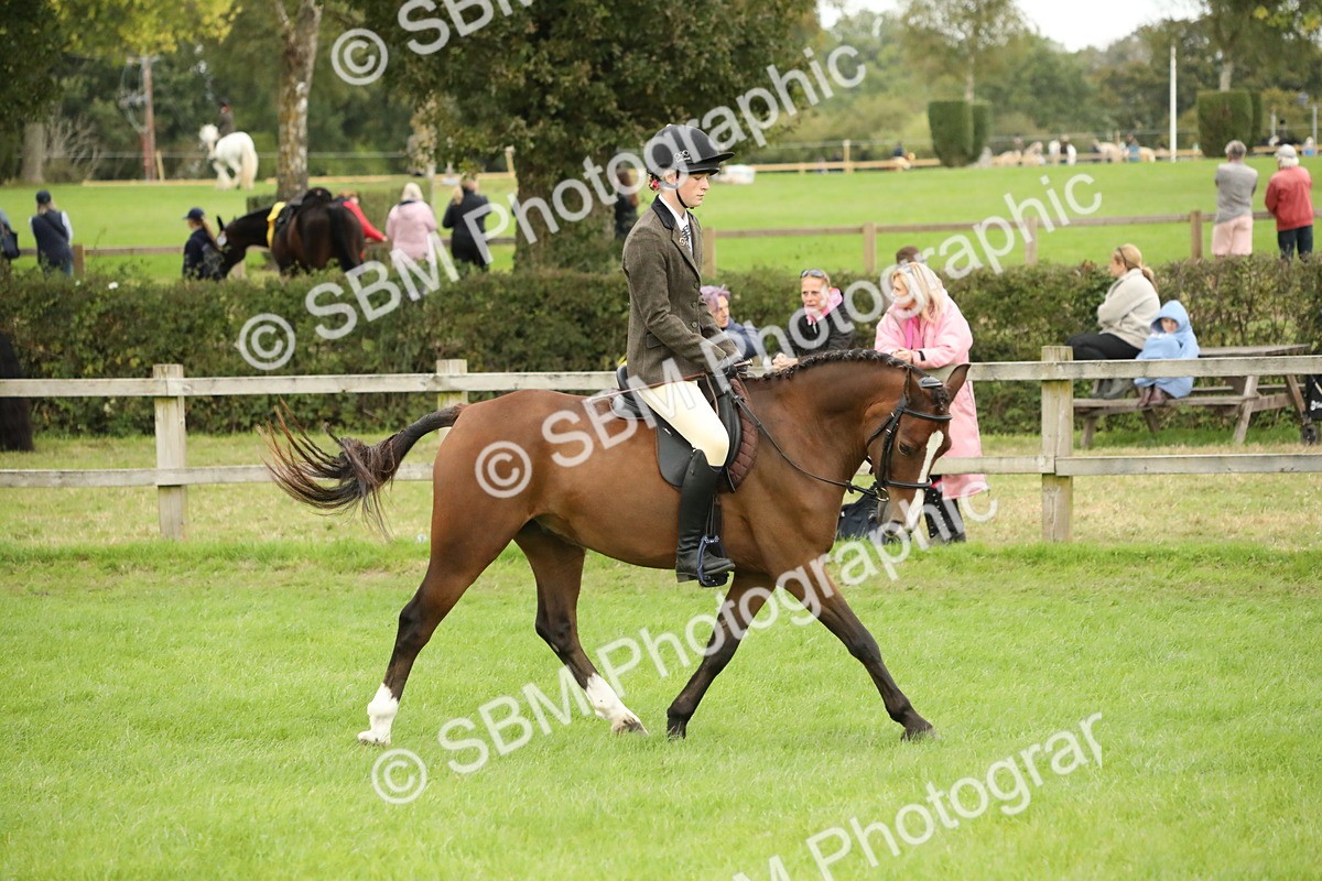 SBM_73746 - S41 - Ridden Equitation (Best Rider)