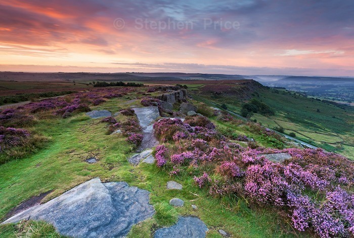 Curbar Edge | Derbyshire Photography | Peak District Heather